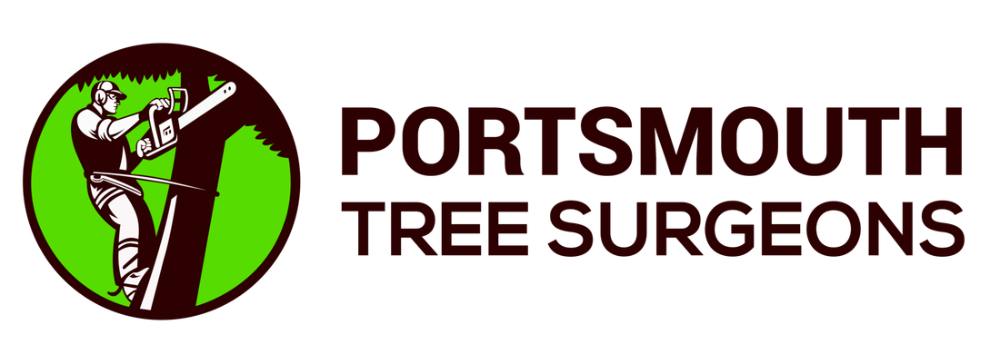 Picture of tree surgeons in portsmouths logo, tree surgery for portsmouth and surrounding areas